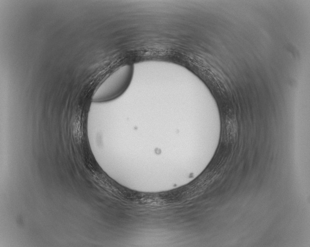 X0000115431250200912020917