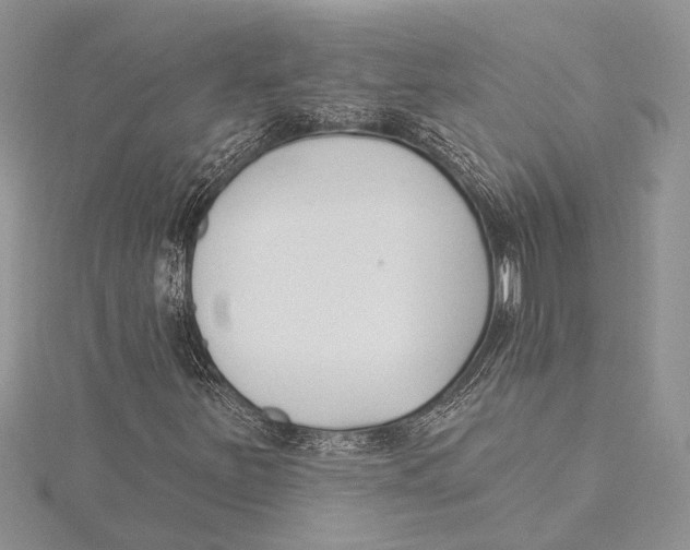 X0000115431251200912020917