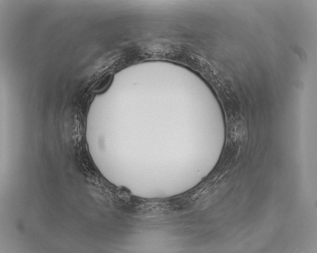 X0000115431253200912020917