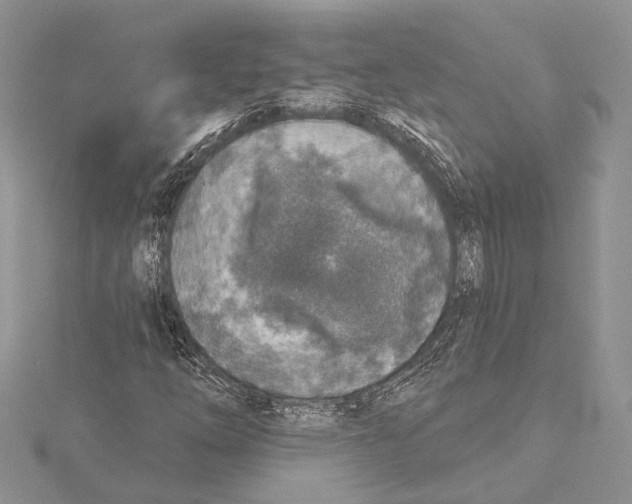 X0000115431254200912020917