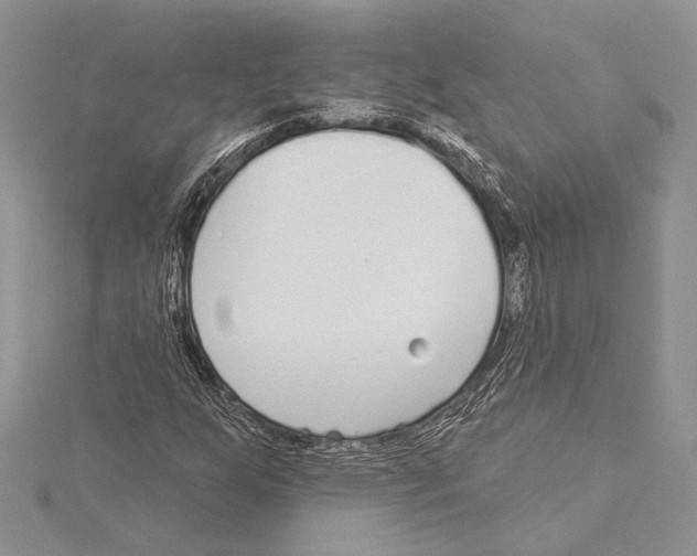 X0000115431255200912020917