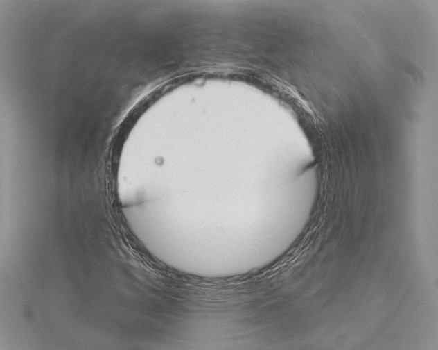 X0000115431256200912020917