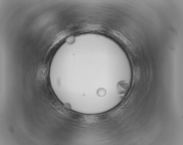 X0000115431258200912020917