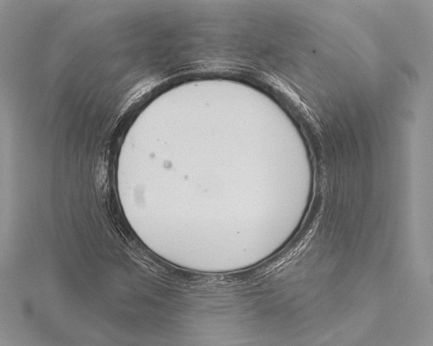 X0000115431259200912020917