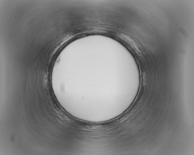 X0000115431260200912020917