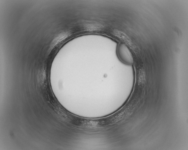 X0000115431261200912020917