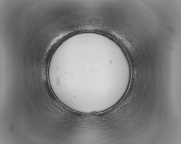 X0000115431262200912020917