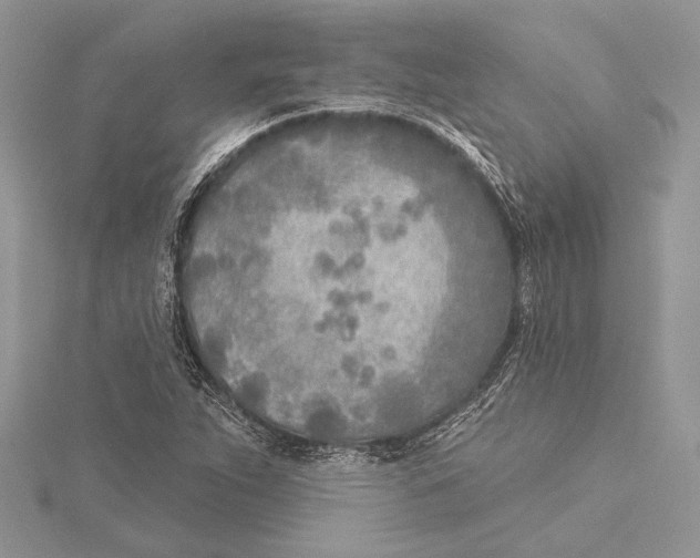 X0000115431263200912020917