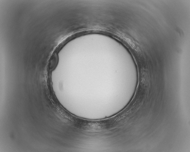 X0000115431264200912020917