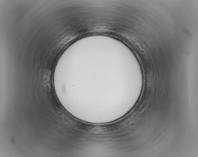 X0000115431265200912020917