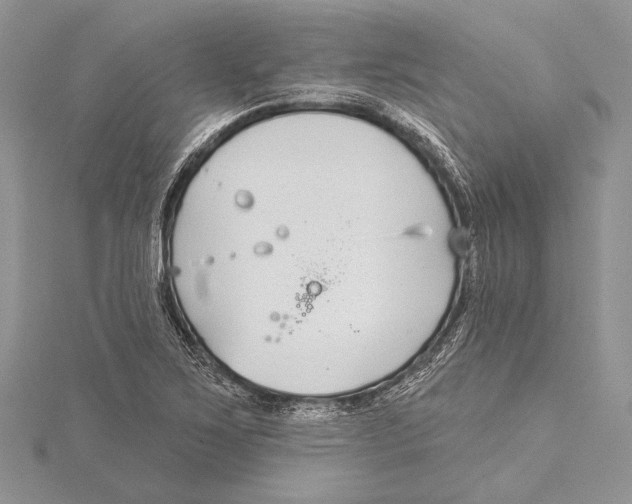 X0000115431267200912020917