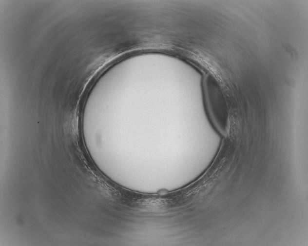 X0000115431268200912020917