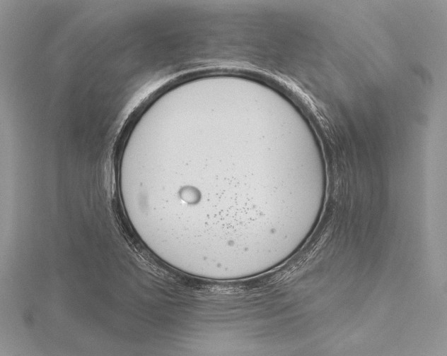 X0000115431271200912020917