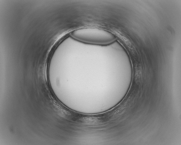 X0000115431272200912020917