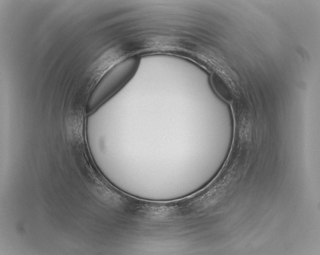 X0000115431273200912020917