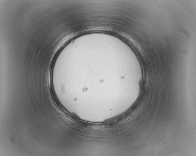 X0000115431274200912020917