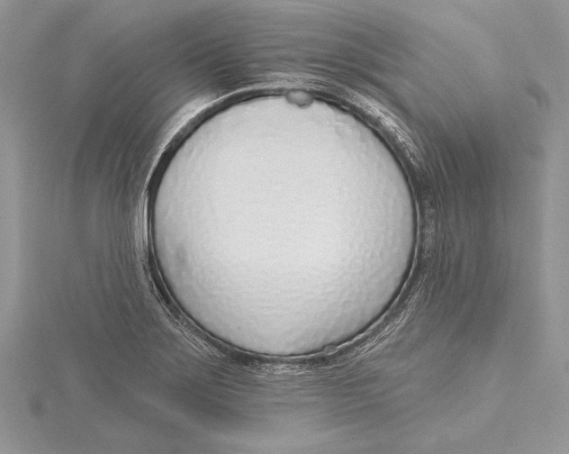 X0000115431275200912020917