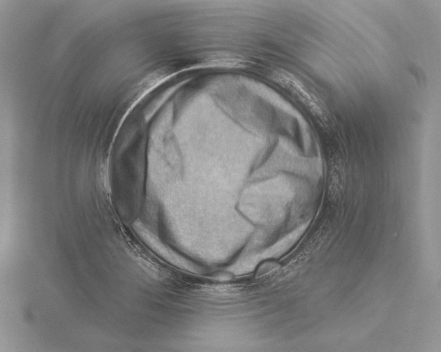 X0000115431276200912020917