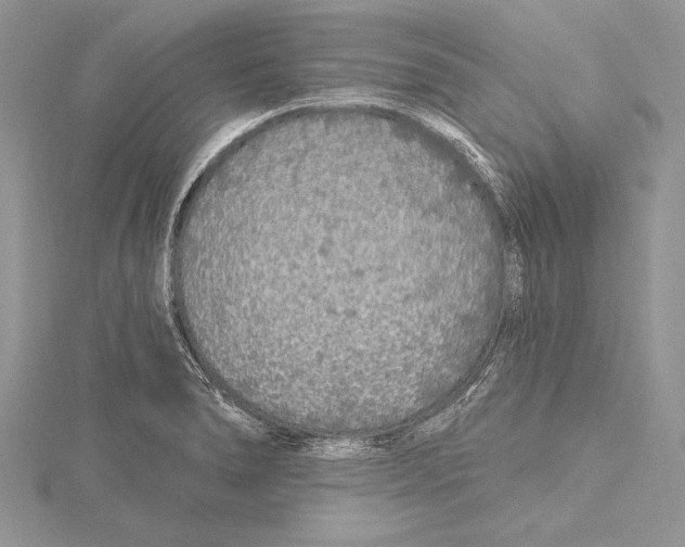 X0000115431278200912020917