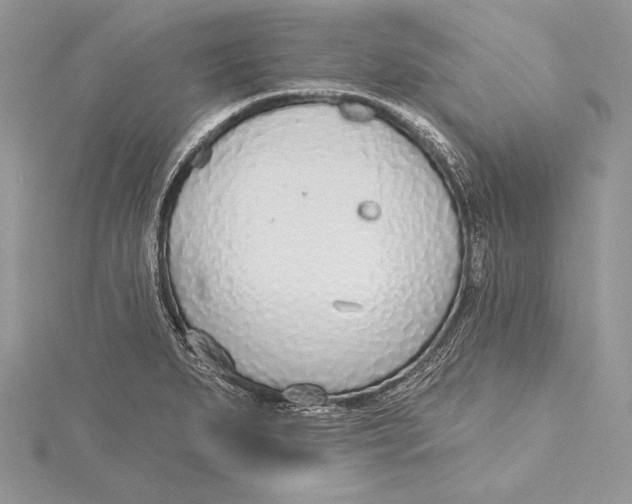 X0000115431279200912020916