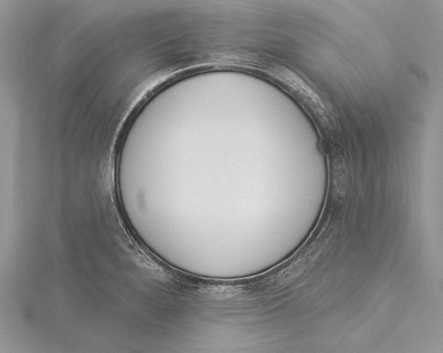 X0000115431280200912020916