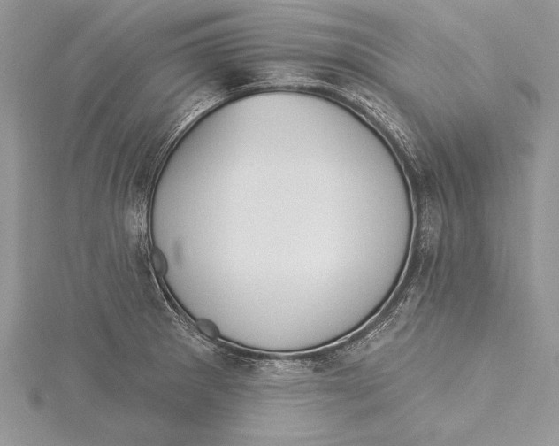 X0000115431281200912020916