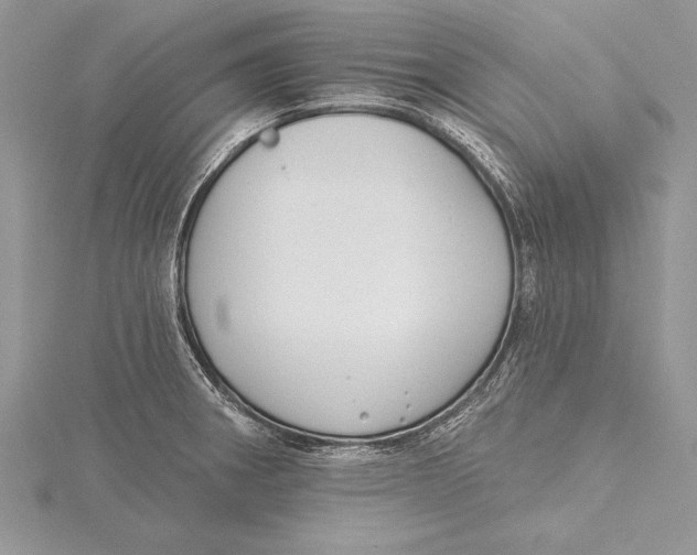 X0000115431282200912020916