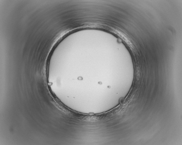 X0000115431283200912020916