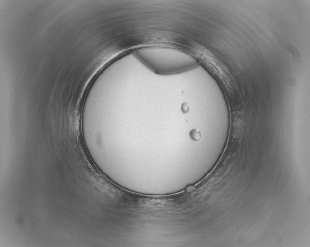 X0000115431284200912020916