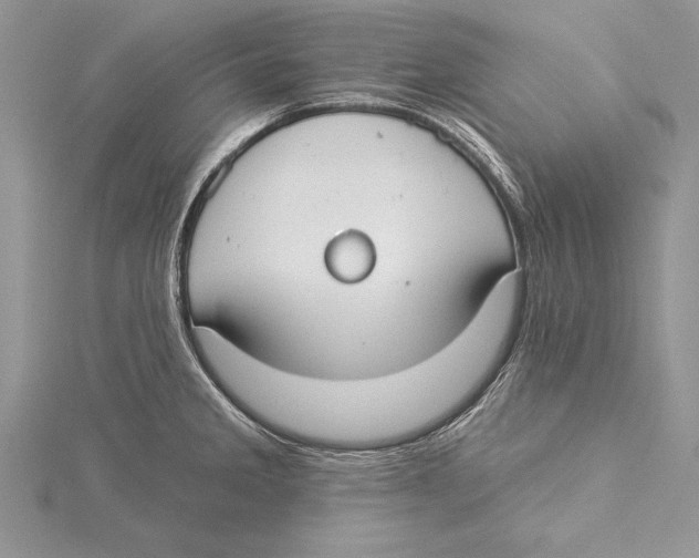 X0000115431285200912020916