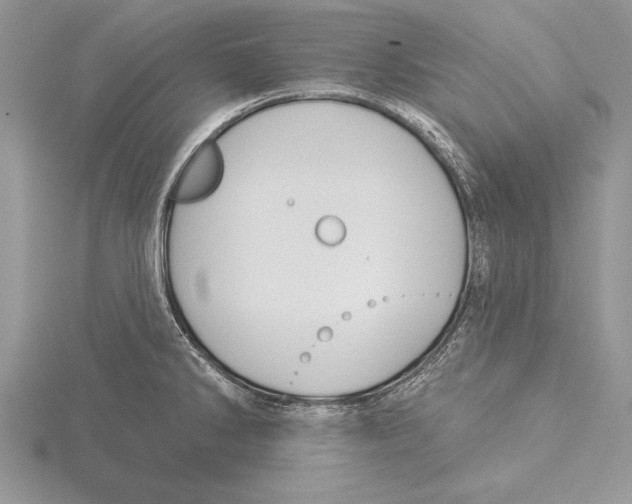 X0000115431286200912020916