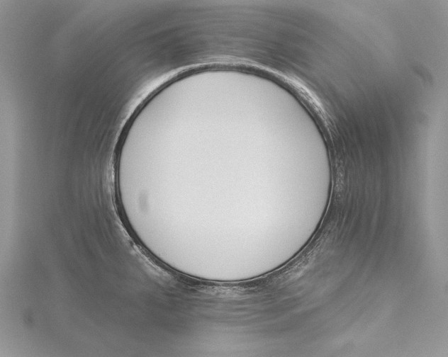 X0000115431287200912020916