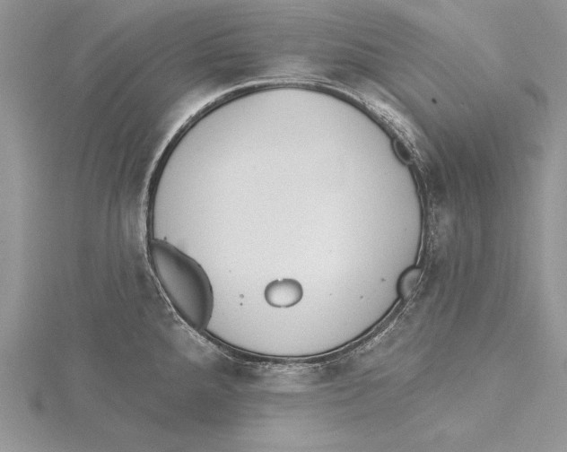 X0000115431288200912020916