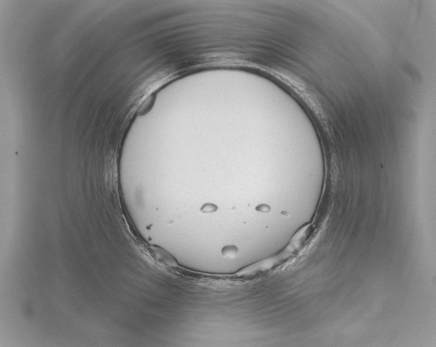 X0000115431289200912020916