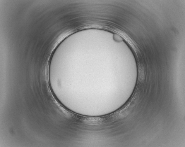 X0000115431290200912020916