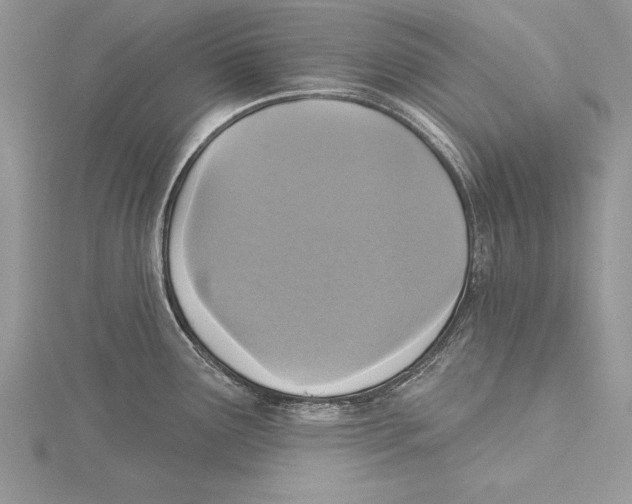 X0000115431291200912020916