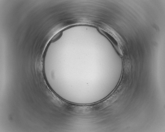 X0000115431292200912020916