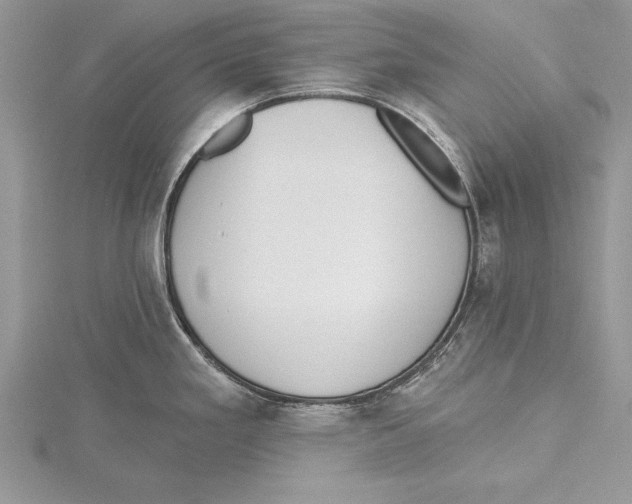 X0000115431293200912020916