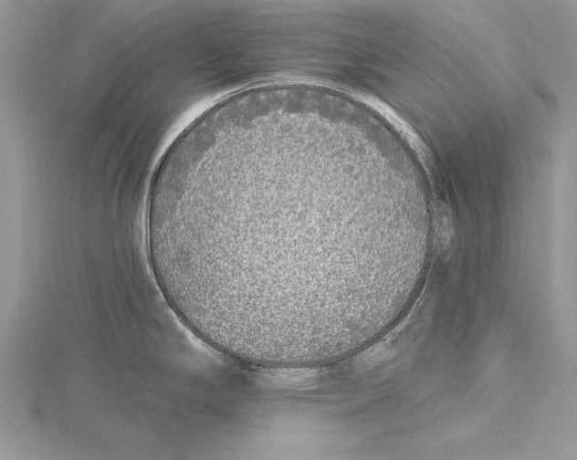 X0000115431294200912020916