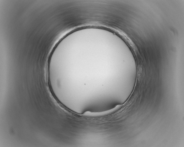 X0000115431295200912020916