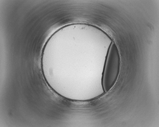 X0000115431296200912020916