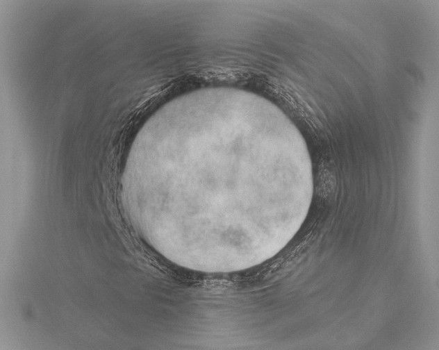 X0000115431297200912020916