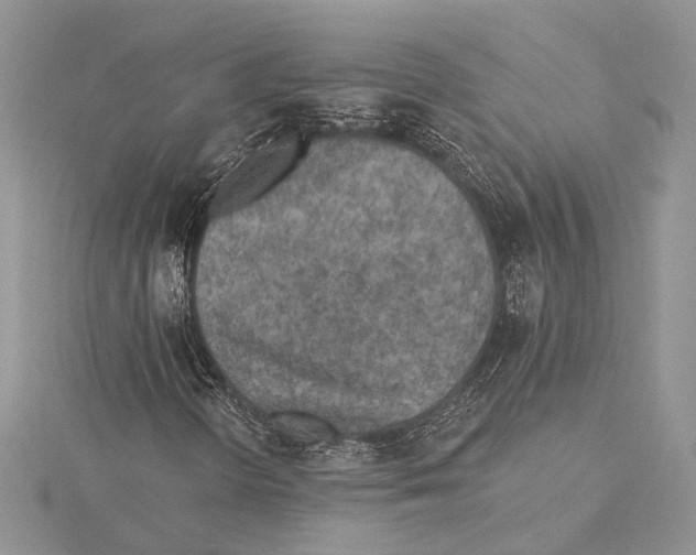 X0000115431298200912020916