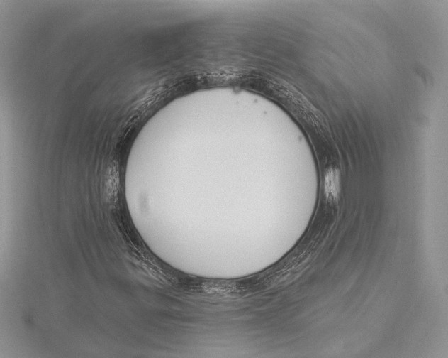 X0000115431299200912020916