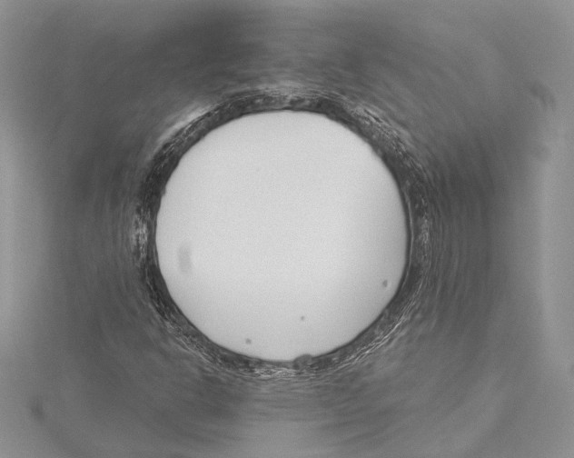 X0000115431302200912020916