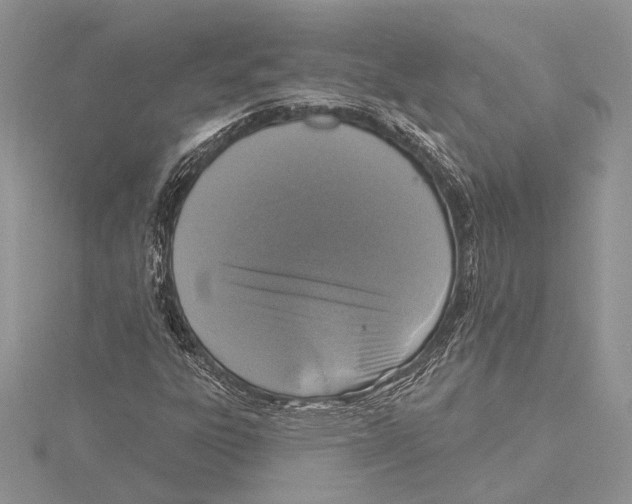 X0000115431303200912020916