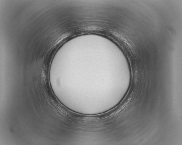 X0000115431305200912020916