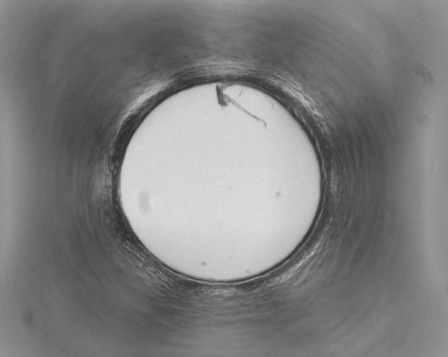 X0000115431309200912020916