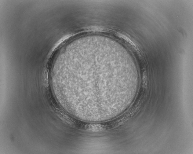 X0000115431310200912020916