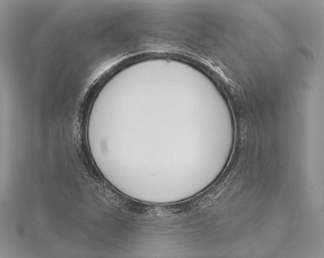 X0000115431311200912020916